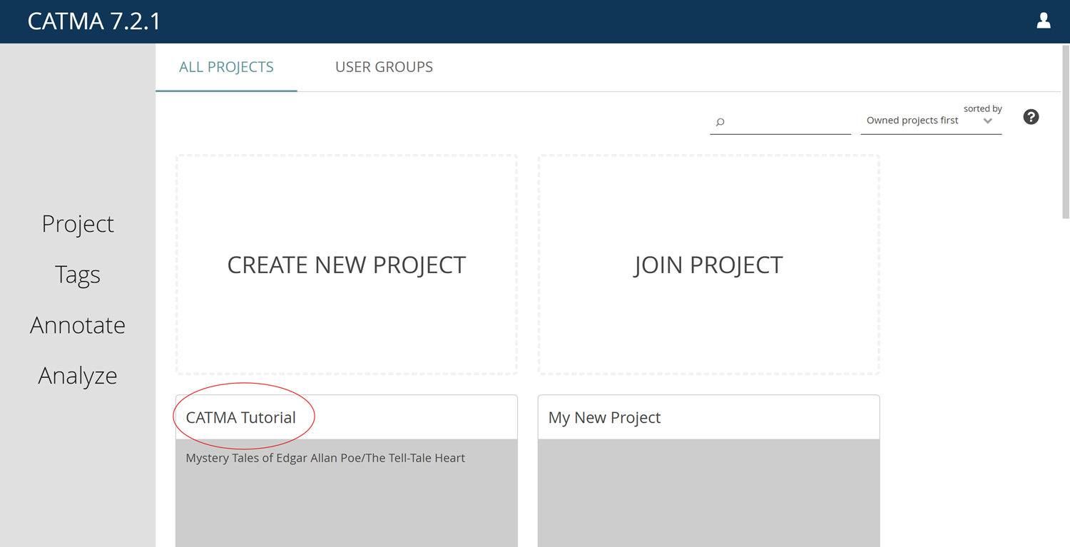 Image shows created projects on the user's dashboard